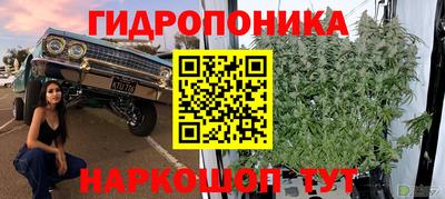 a pvp Пугачёв