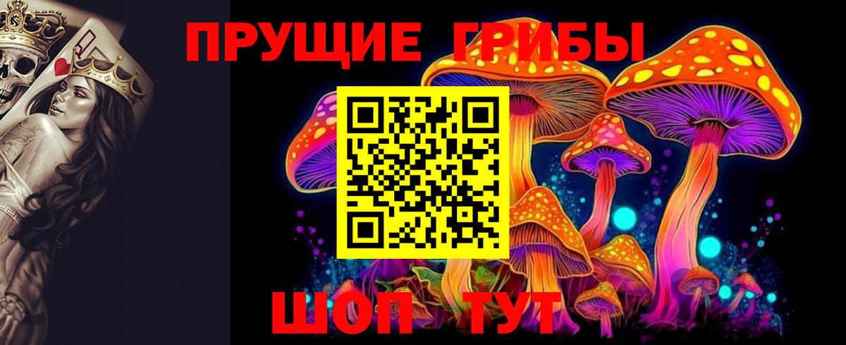 Сургут  Галлюциногенные грибы прущие грибы  наркота  Вход с VPN 